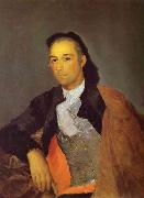 Francisco Jose de Goya Pedro Romero China oil painting reproduction